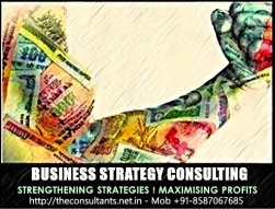 business-consultant-www-theconsultants-net_-in_5